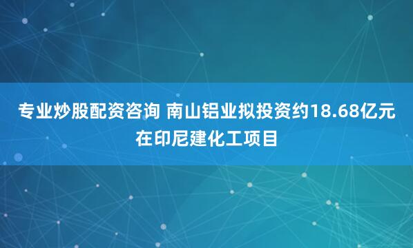 专业炒股配资咨询 南山铝业拟投资约18.68亿元在印尼建化工项目